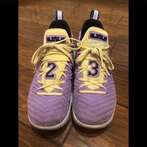 Nike Lebron XVI 16 Atomic Violet